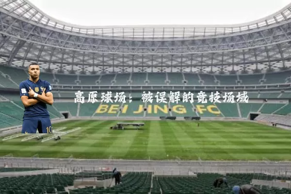 高原球场：被误解的竞技场域