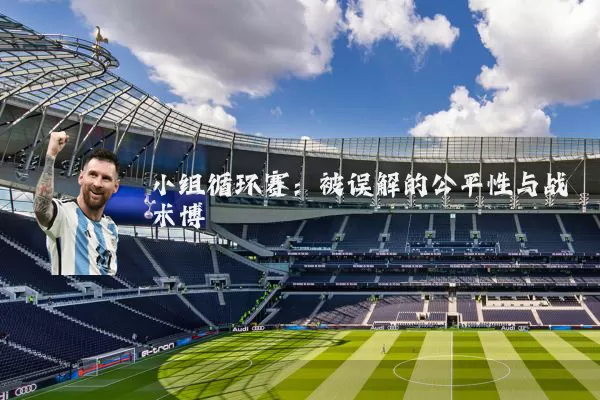 小组循环赛：被误解的公平性与战术博弈